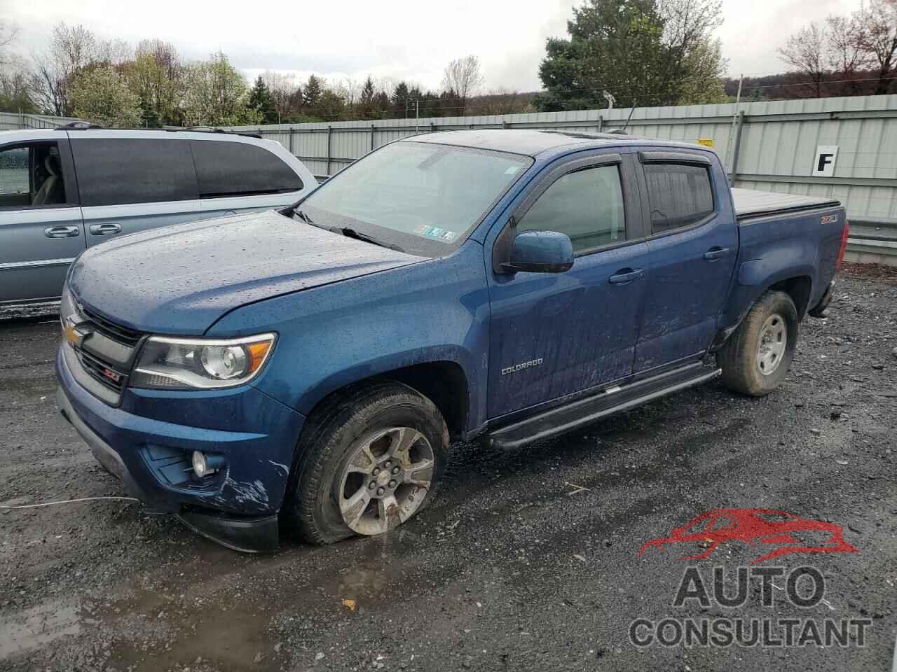 CHEVROLET COLORADO 2019 - 1GCGTDEN6K1339828