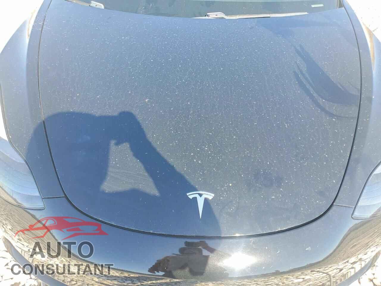 TESLA MODEL 3 2021 - 5YJ3E1EA5MF876429