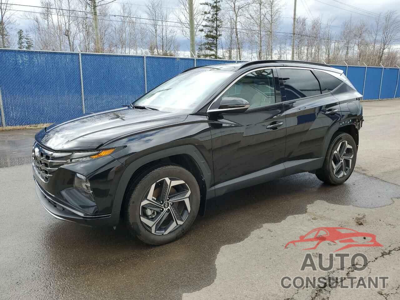 HYUNDAI TUCSON 2023 - KM8JCCA13PU130292