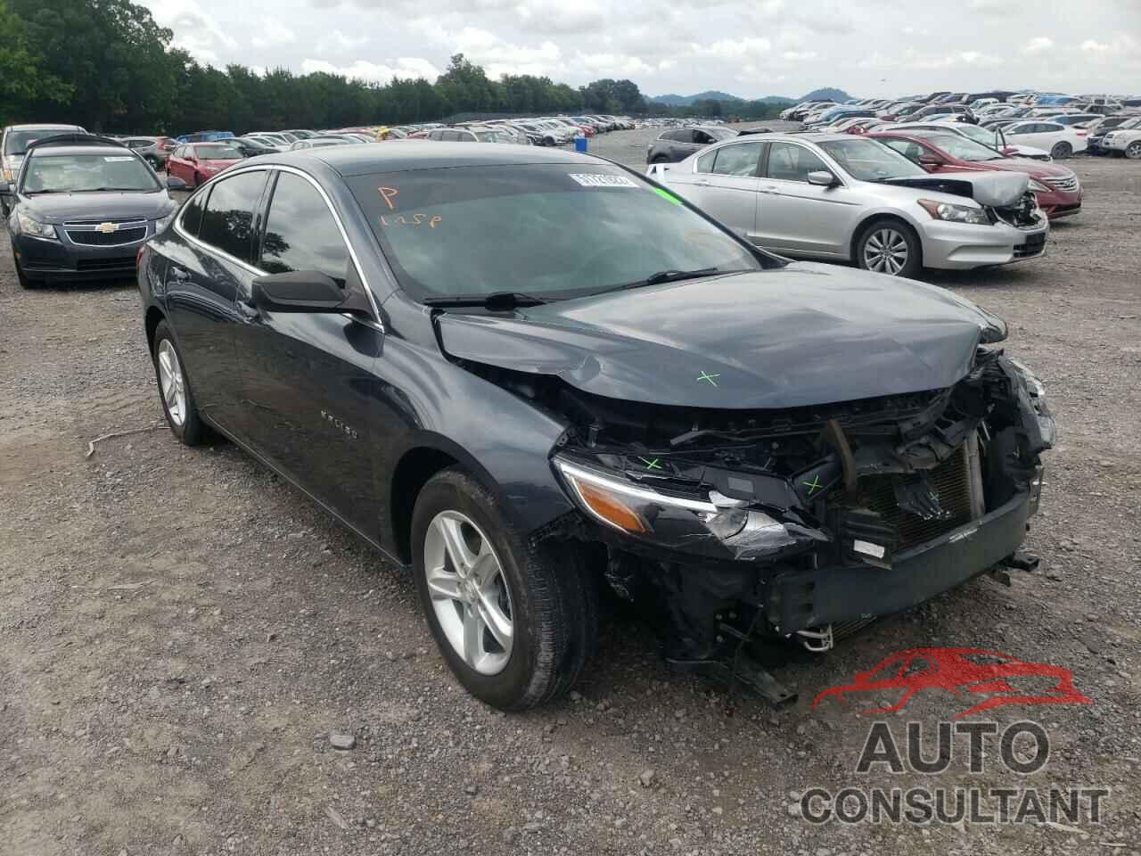 CHEVROLET MALIBU 2019 - 1G1ZB5ST0KF192681