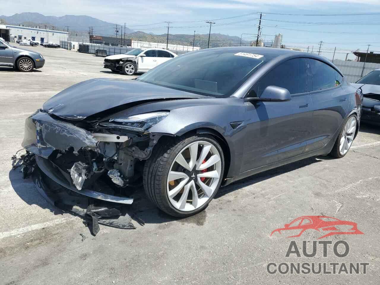 TESLA MODEL 3 2019 - 5YJ3E1EB1KF213977