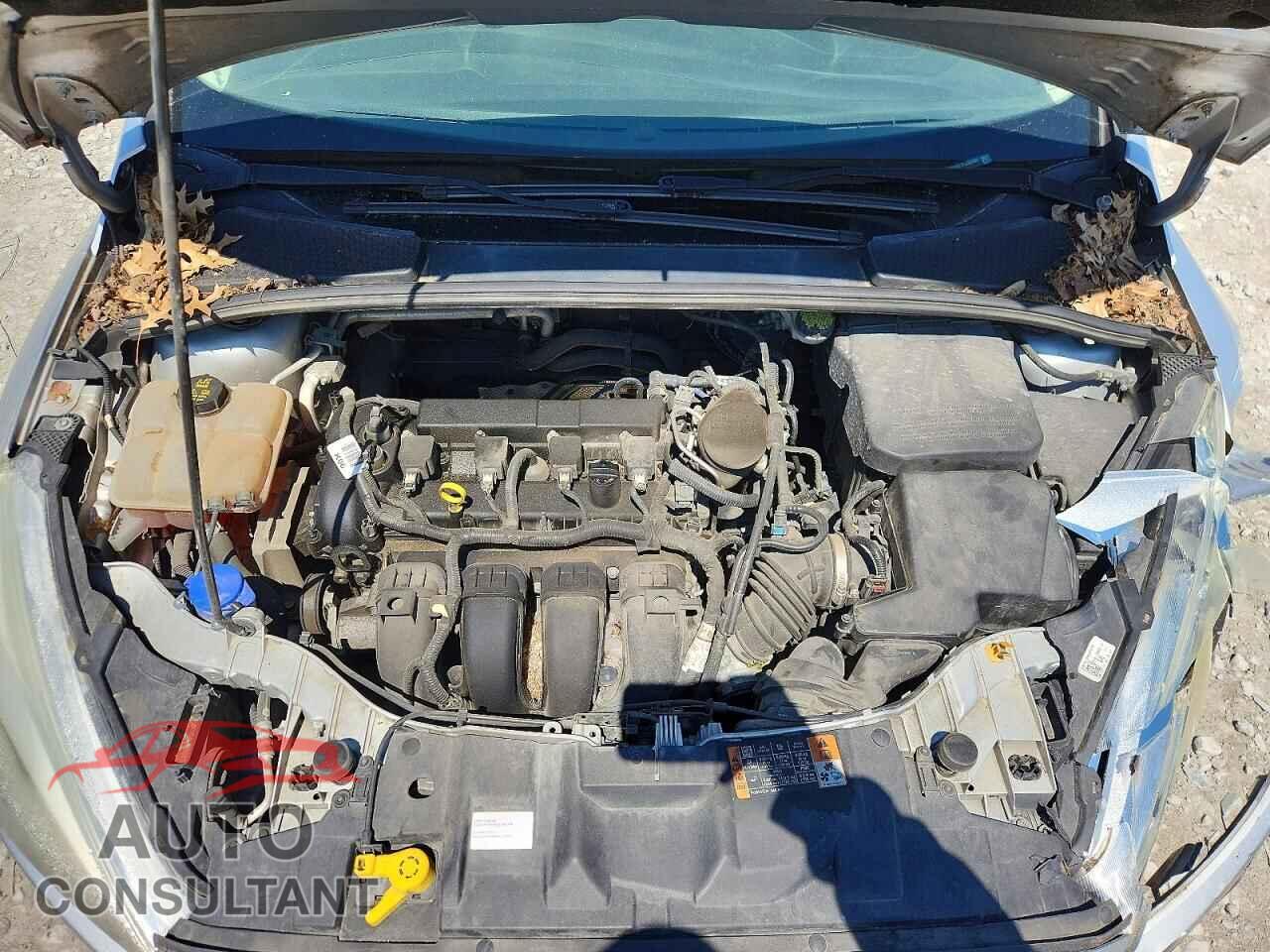 FORD FOCUS 2015 - 1FADP3K21FL282501