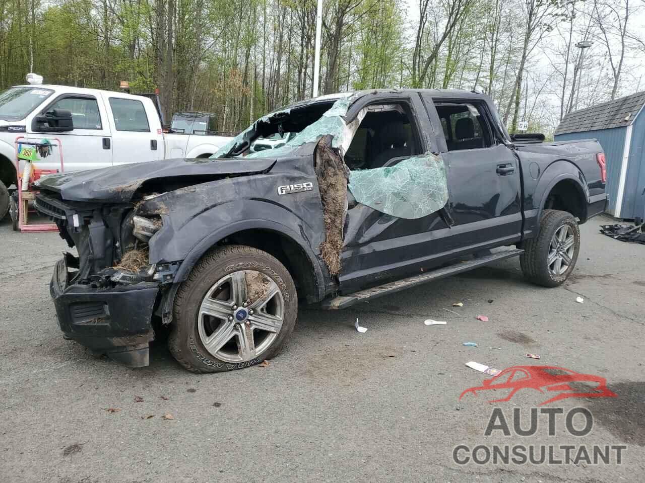 FORD F-150 2019 - 1FTEW1EP7KFA72393