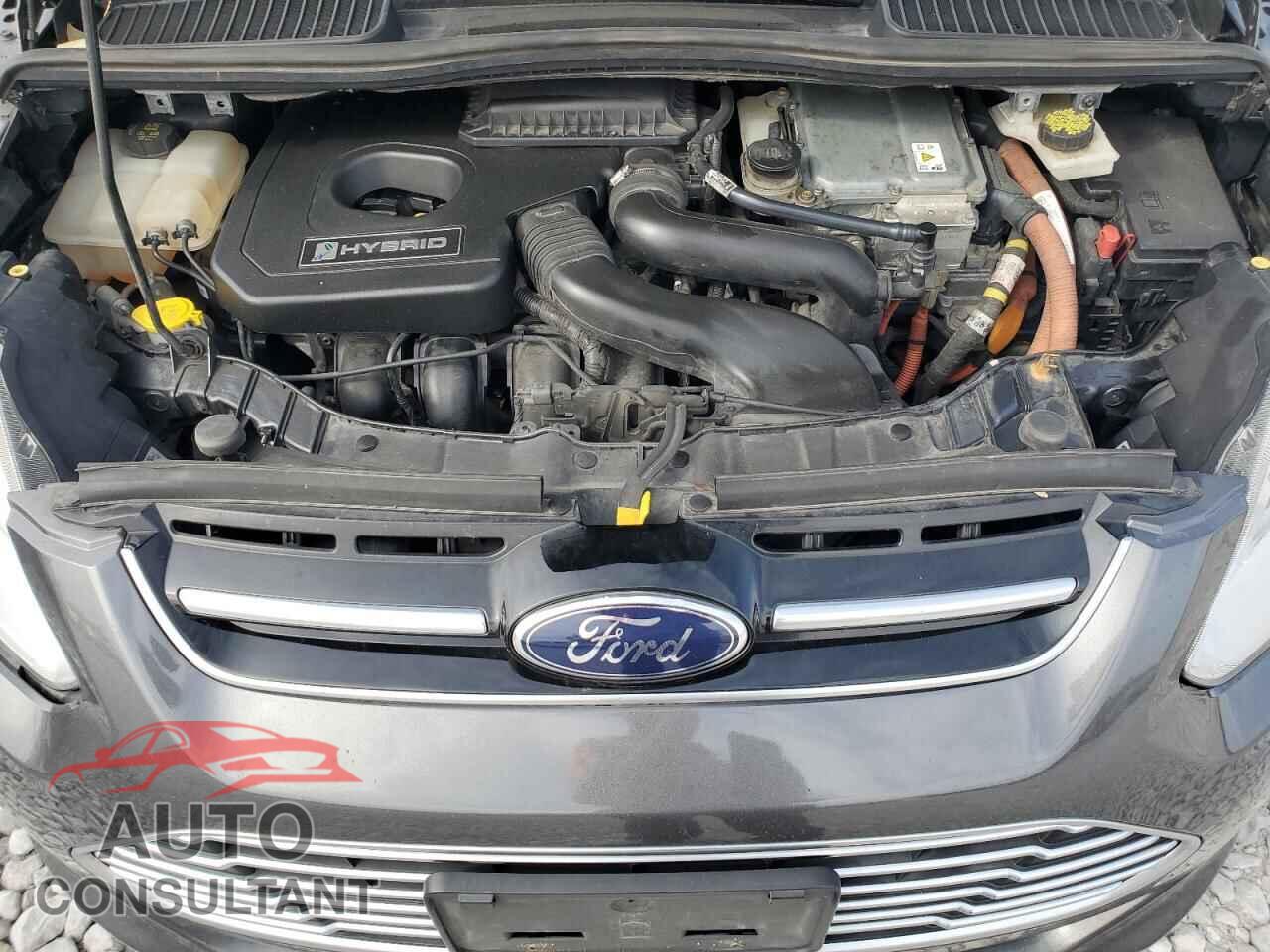 FORD CMAX 2016 - 1FADP5BU8GL116488