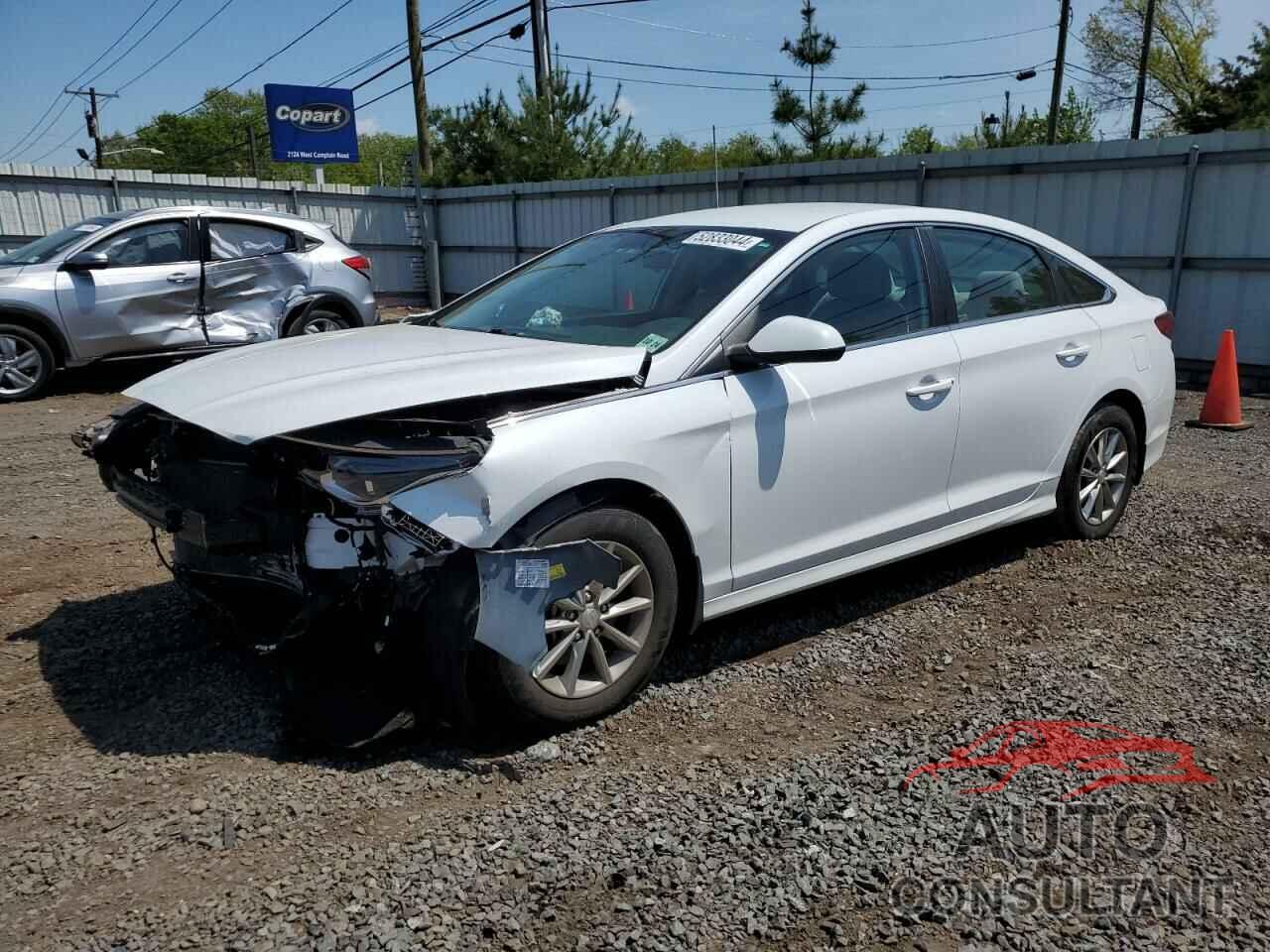 HYUNDAI SONATA 2019 - 5NPE24AF8KH809360