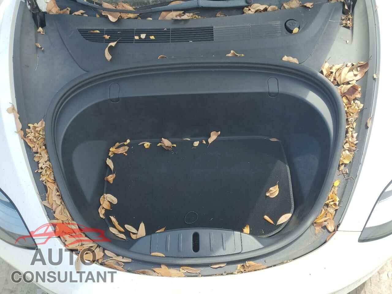 TESLA MODEL 3 2019 - 5YJ3E1EB5KF418329