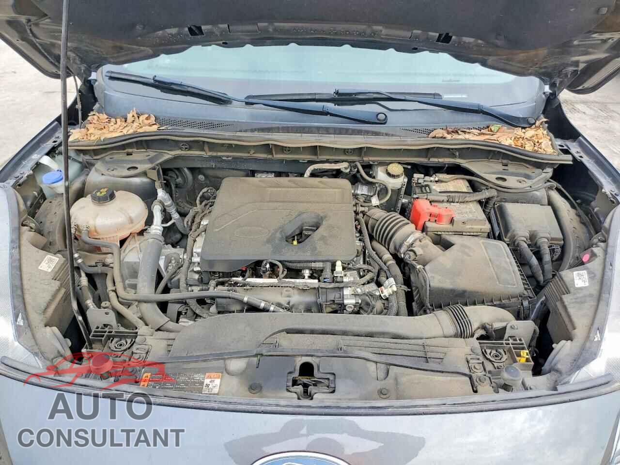 FORD ESCAPE 2020 - 1FMCU0H68LUA54035