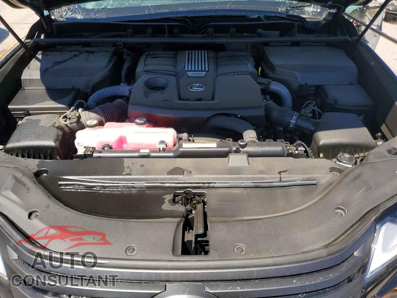 LEXUS UNKNOWN 2025 - JTJGB7CX2S4071607