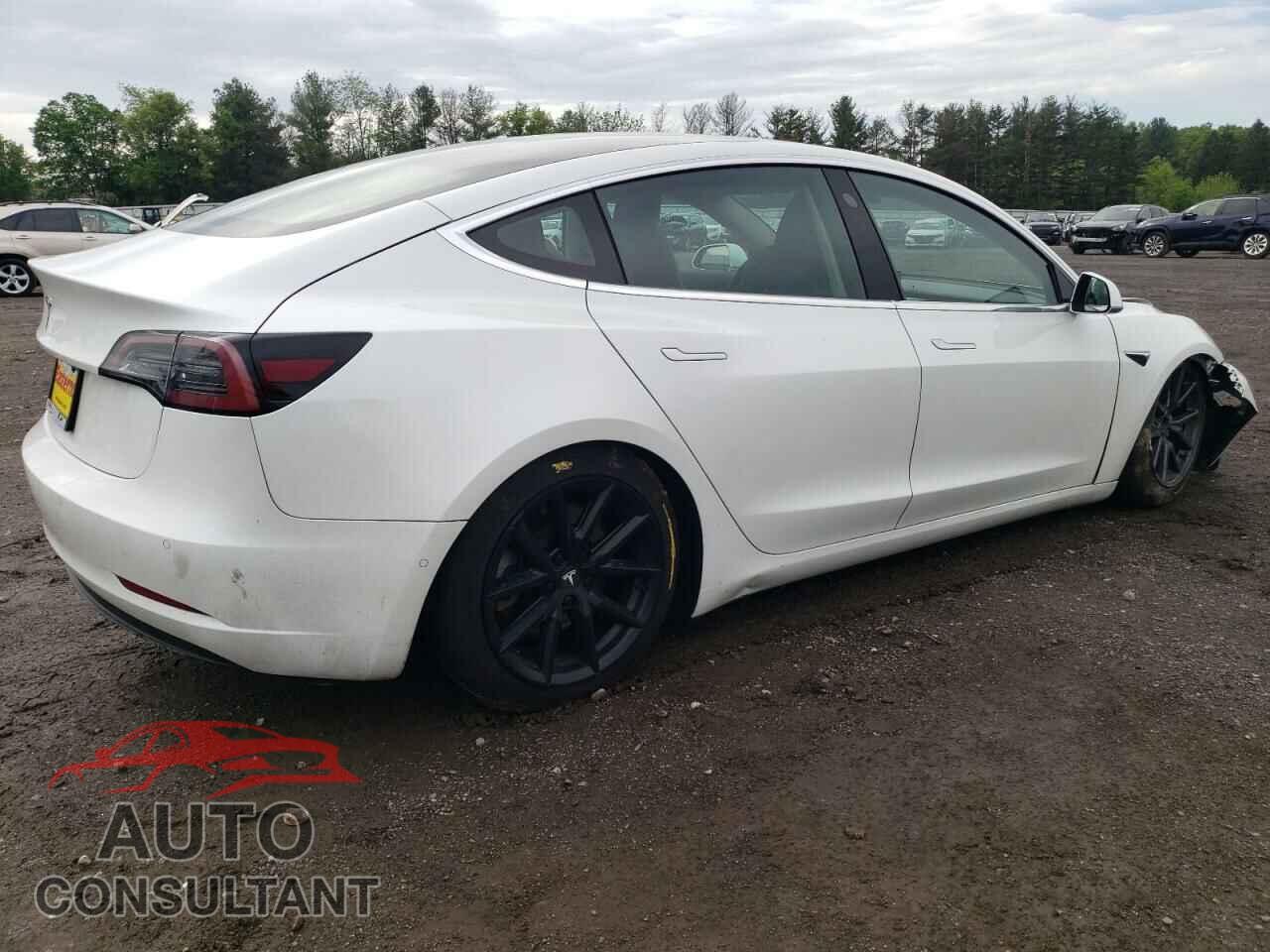 TESLA MODEL 3 2019 - 5YJ3E1EA1KF484593