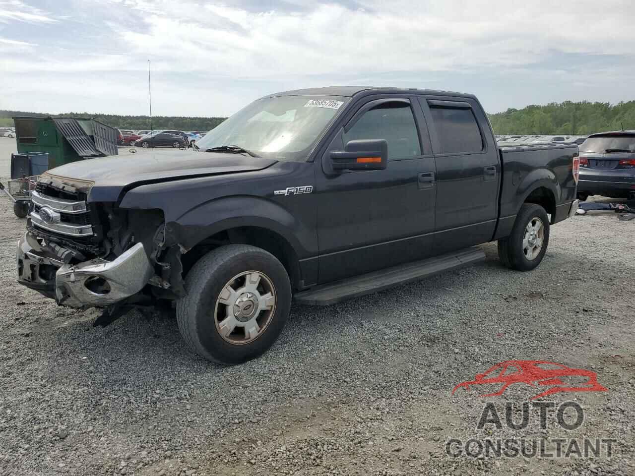 FORD F-150 2014 - 1FTEW1CM5EKD46999