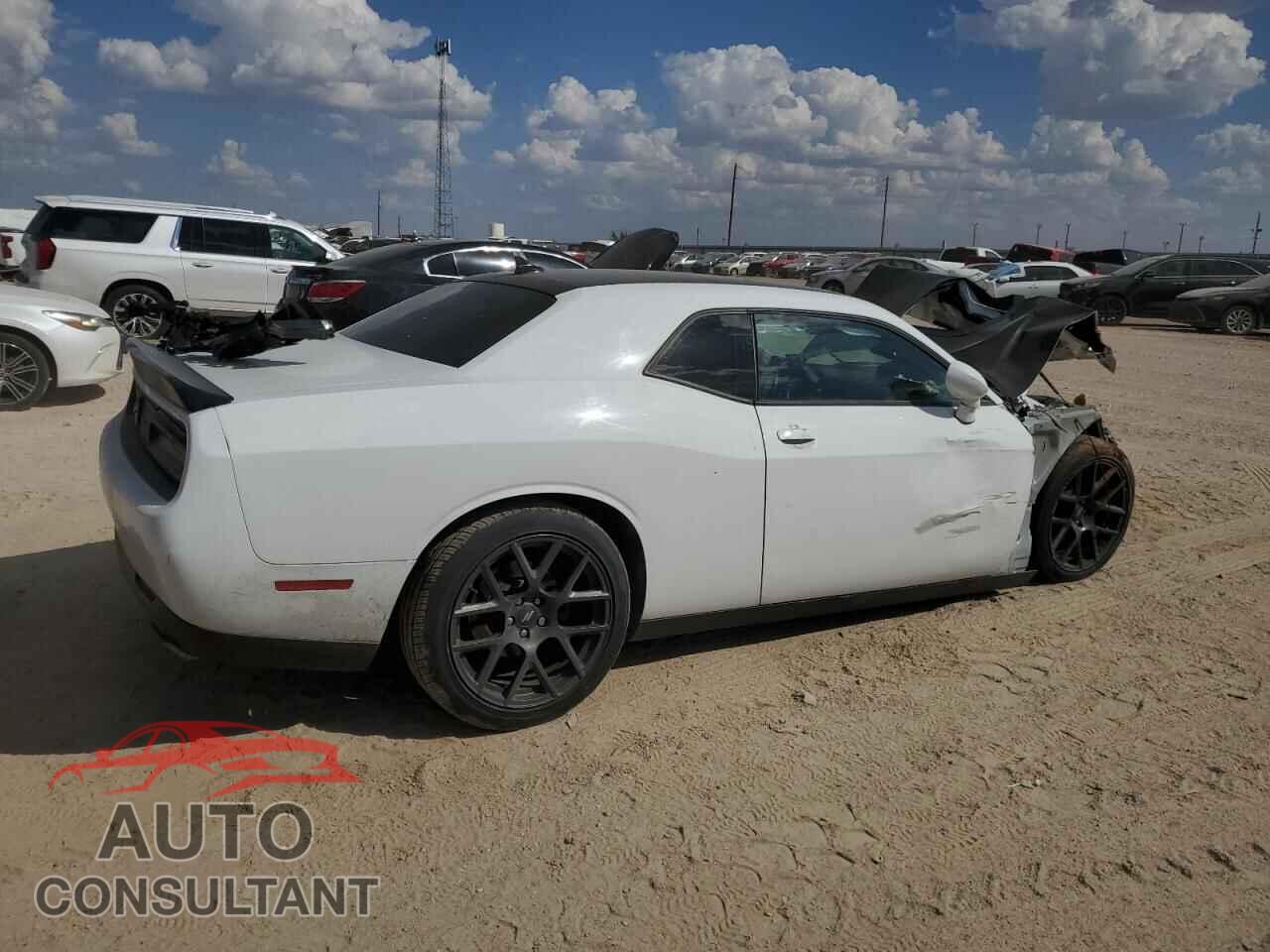 DODGE CHALLENGER 2019 - 2C3CDZBT6KH521580