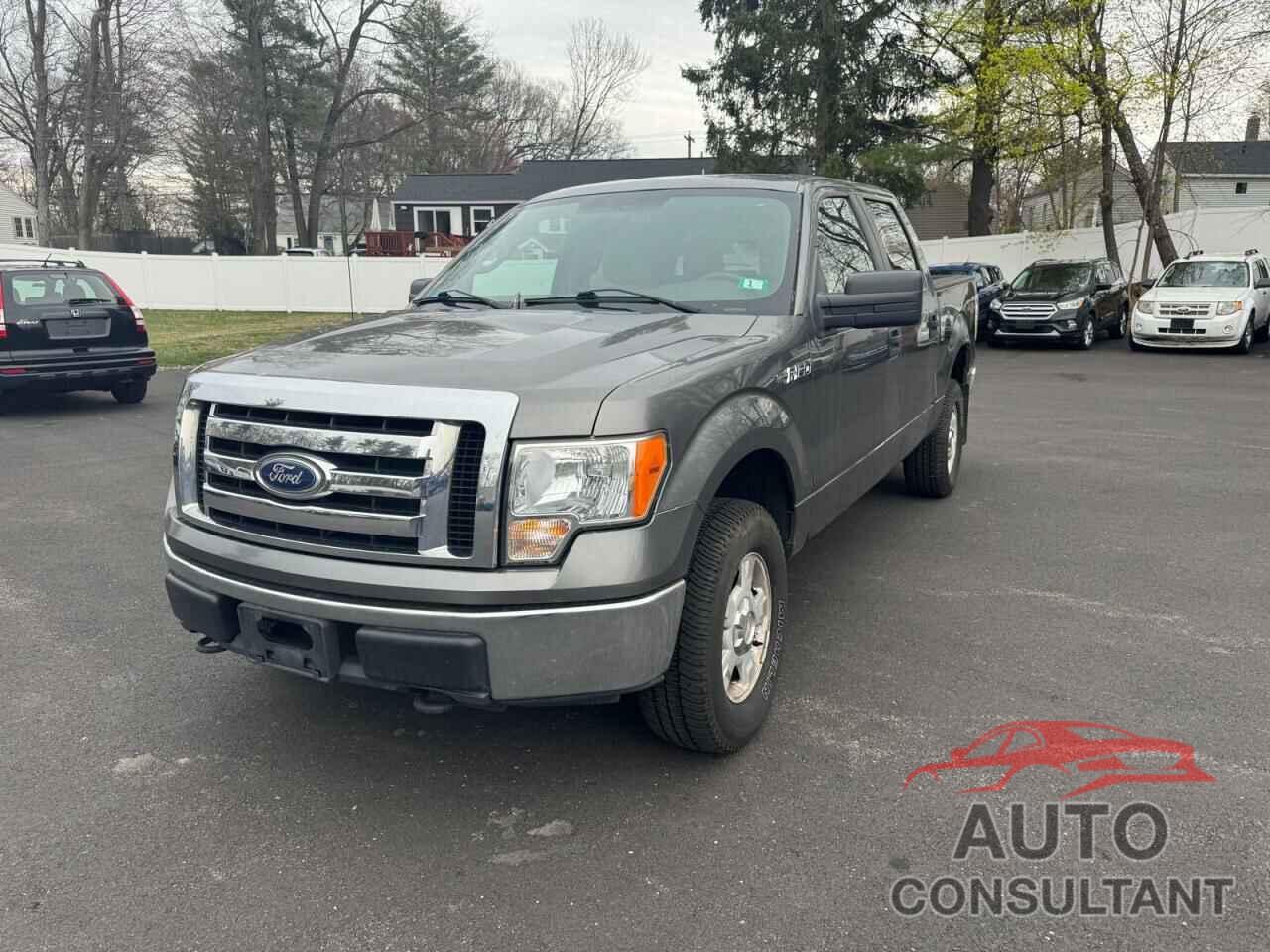 FORD F-150 2010 - 1FTEW1E89AFA90482