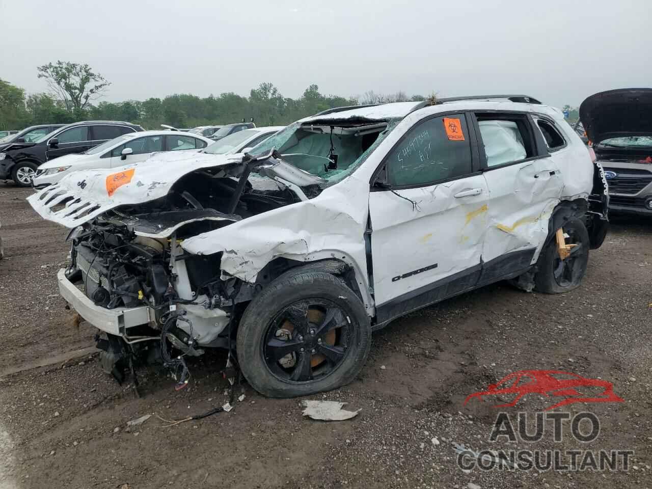 JEEP GRAND CHER 2020 - 1C4PJMLX8LD617851