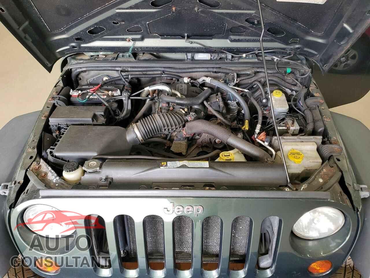 JEEP WRANGLER 2010 - 1J4AA2D11AL196699
