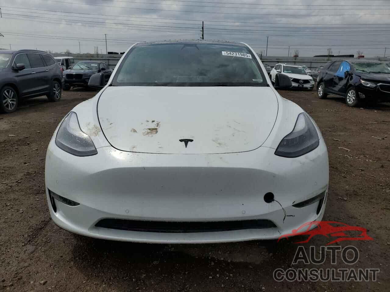 TESLA MODEL Y 2022 - 7SAYGDEF5NF380905
