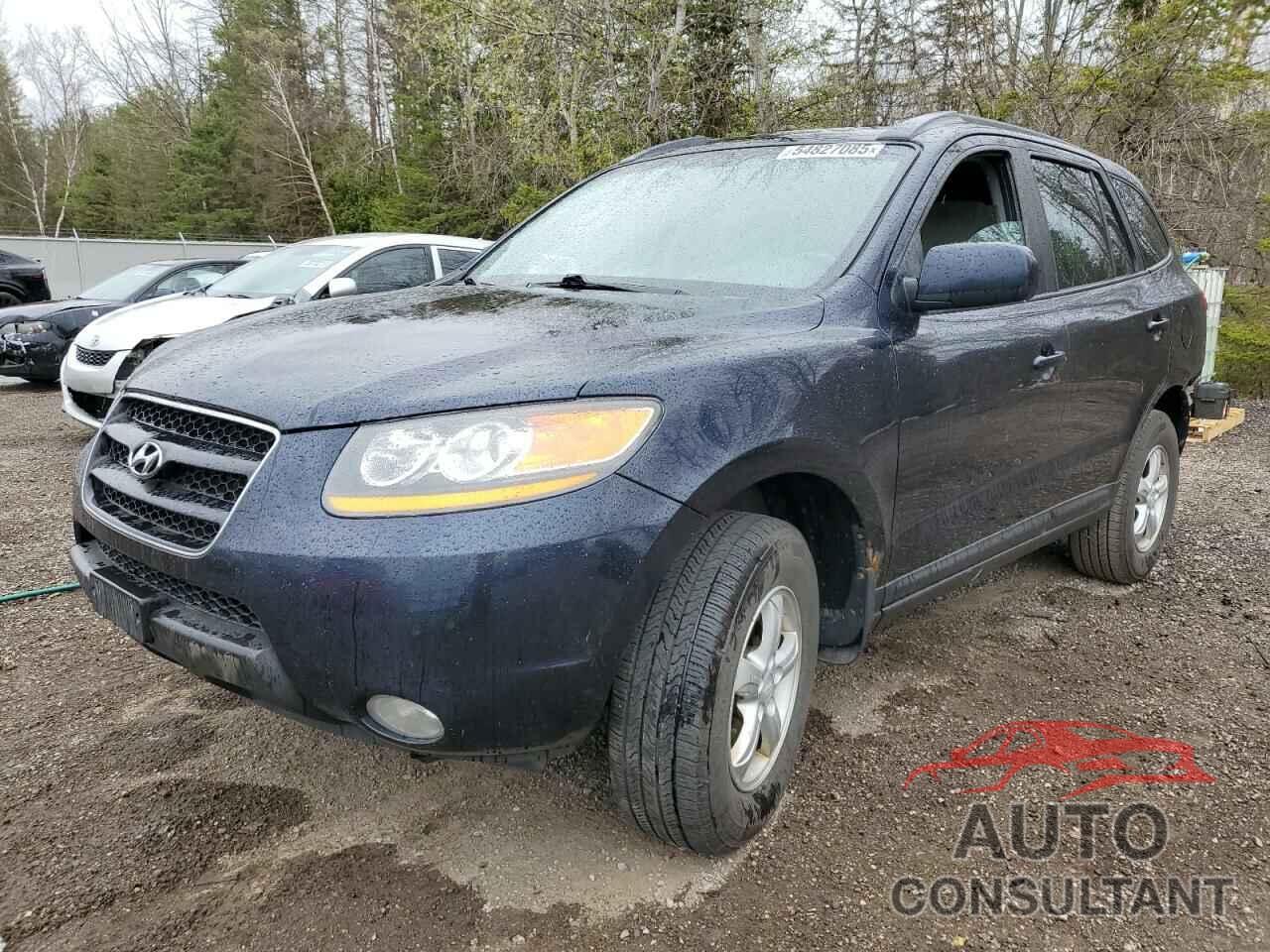 HYUNDAI SANTA FE 2009 - 5NMSG13E09H276838