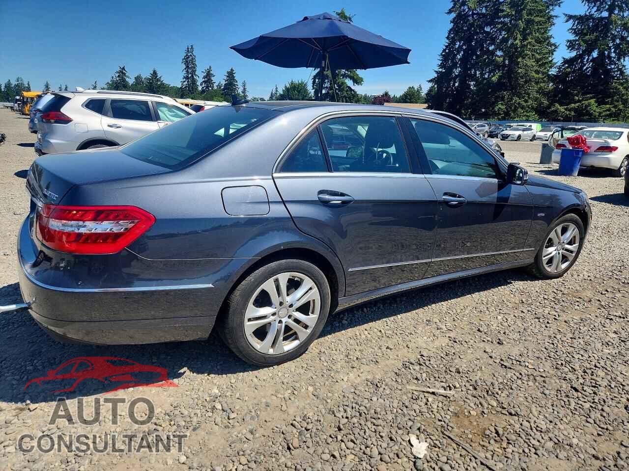 MERCEDES-BENZ E-CLASS 2011 - WDDHF2EB9BA465659