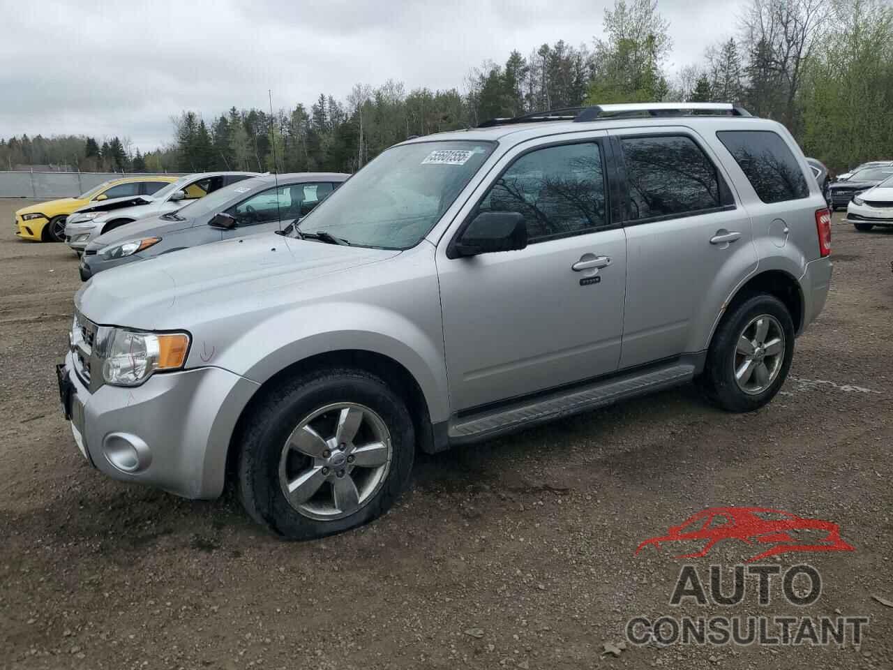 FORD ESCAPE 2010 - 1FMCU9EG0AKC86025