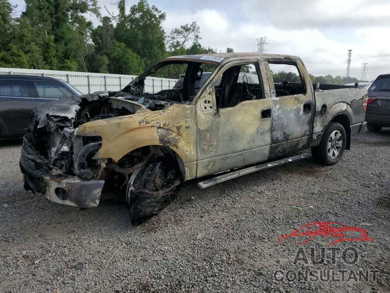 FORD F-150 2011 - 1FTEW1CM9BFB52562