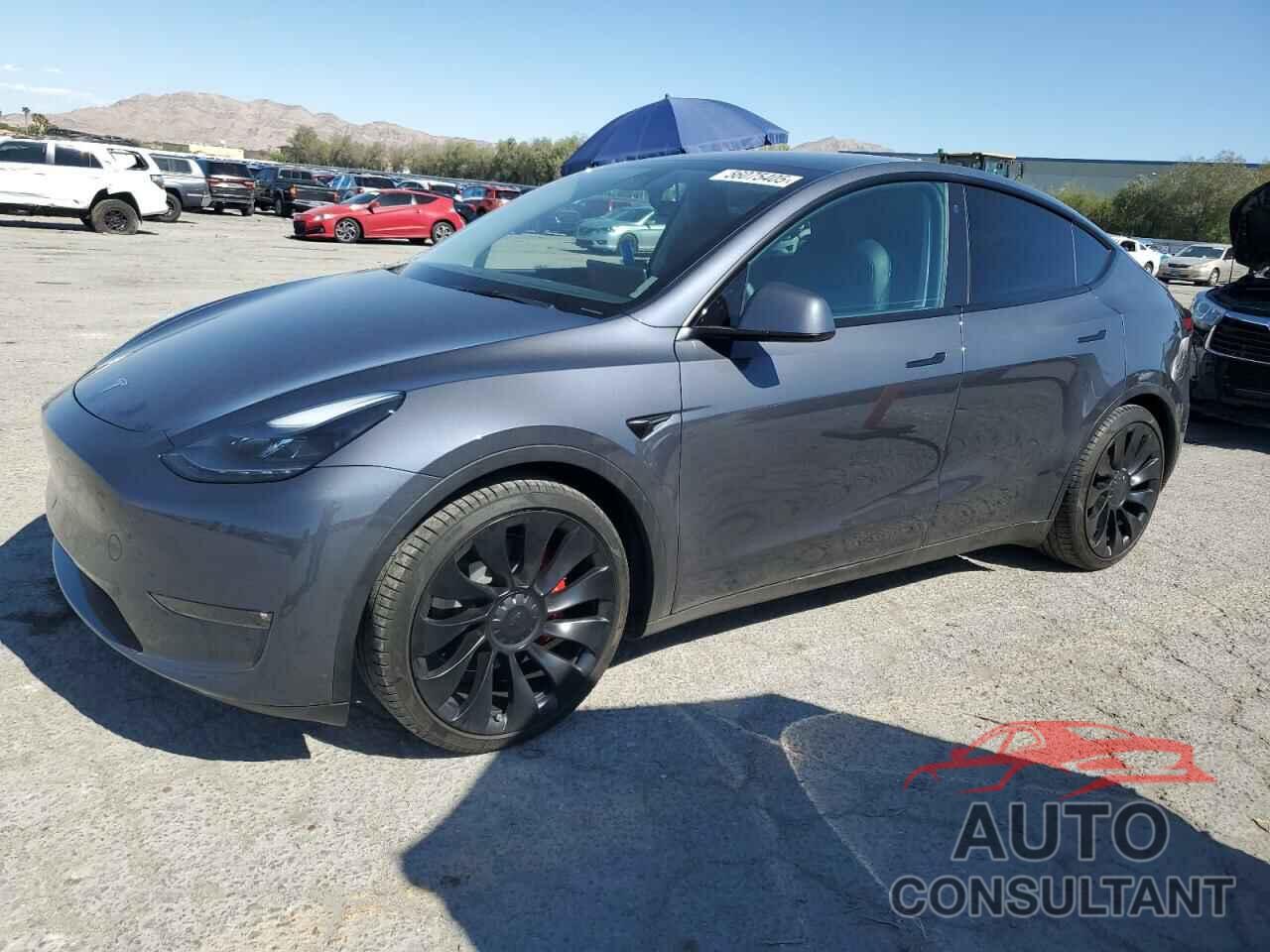 TESLA MODEL Y 2023 - 7SAYGDEF1PF598312
