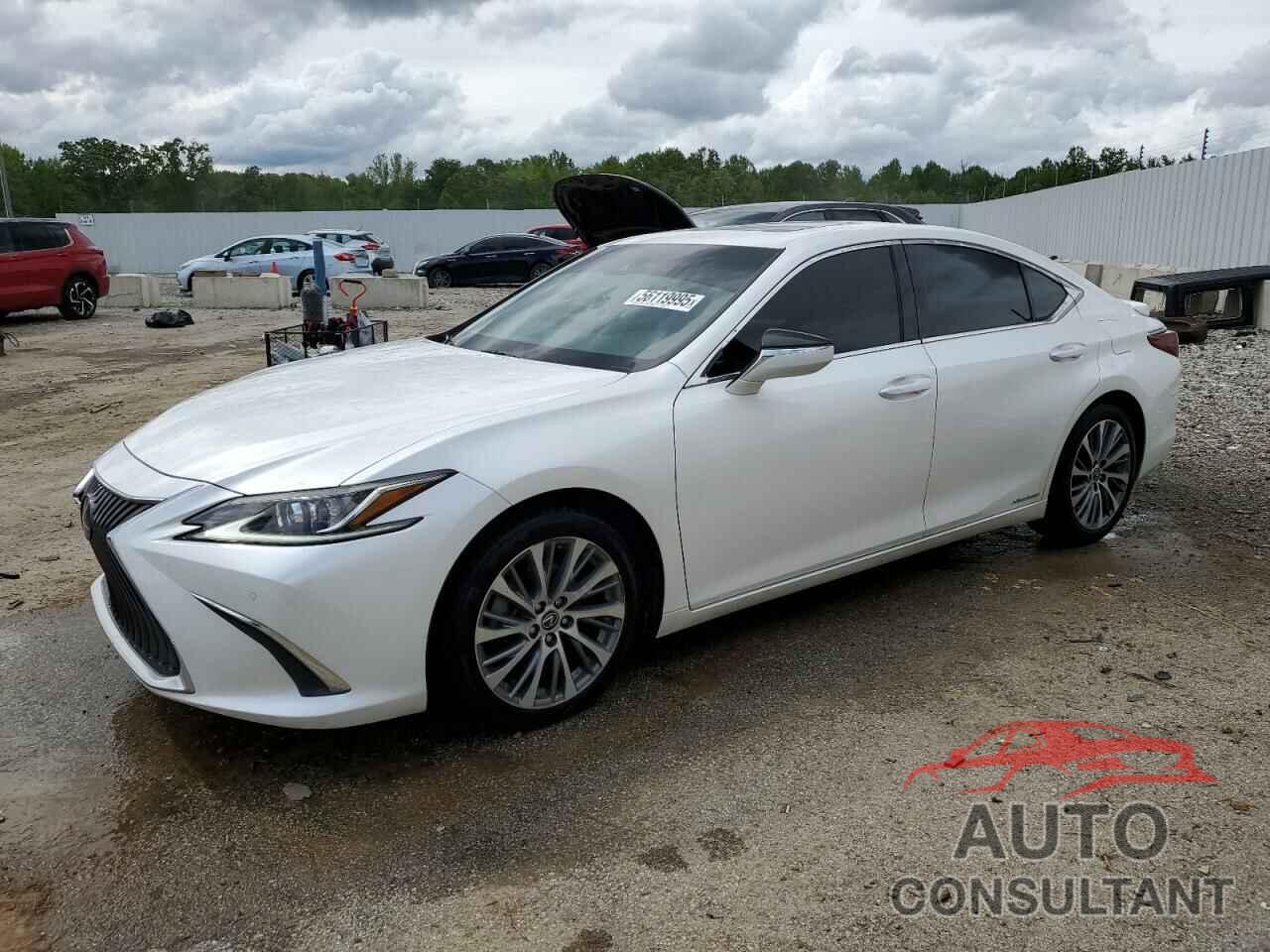 LEXUS ES300 2020 - 58AD21B11LU004650