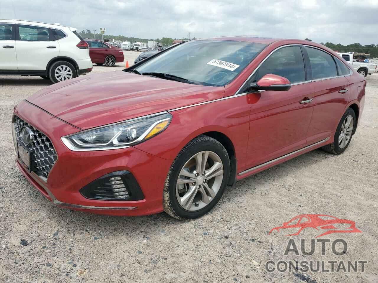 HYUNDAI SONATA 2019 - 5NPE34AF1KH772830