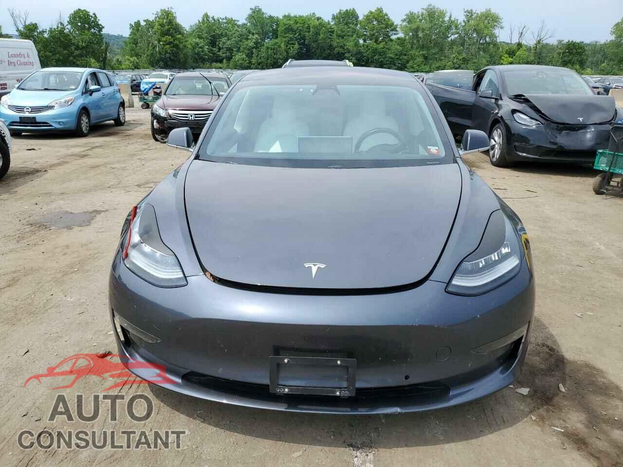 TESLA MODEL 3 2019 - 5YJ3E1EB8KF192674