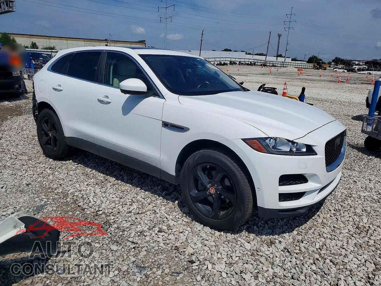 JAGUAR F-PACE 2020 - SADCK2FX1LA645041
