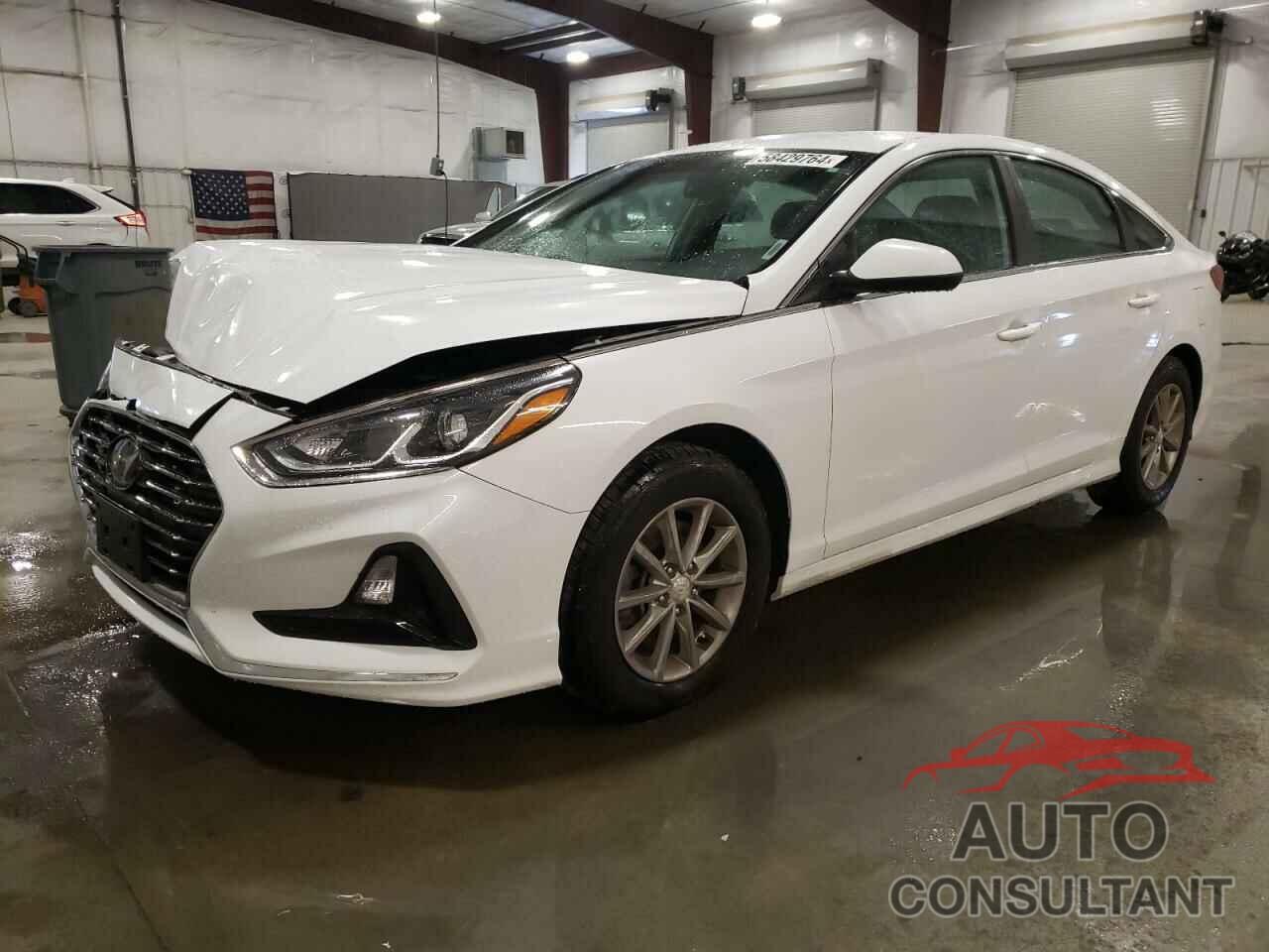 HYUNDAI SONATA 2019 - 5NPE24AF5KH817397