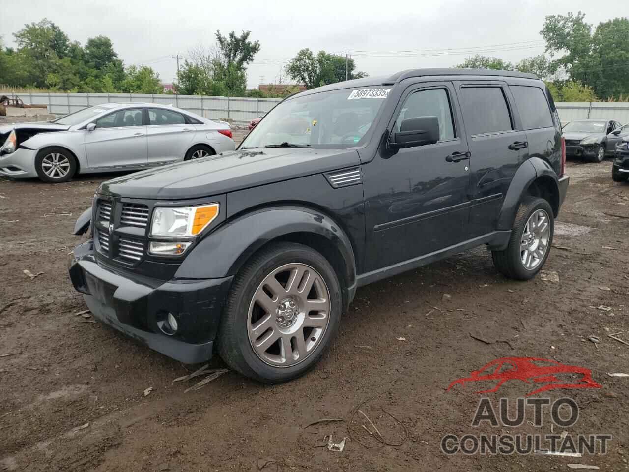 DODGE NITRO 2011 - 1D4PT4GK7BW597557