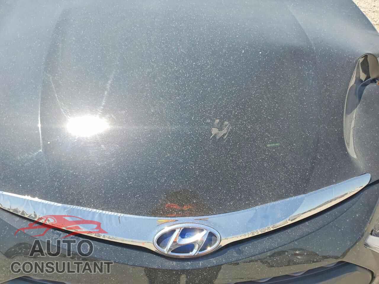 HYUNDAI SONATA 2013 - KMHEC4A48DA074784