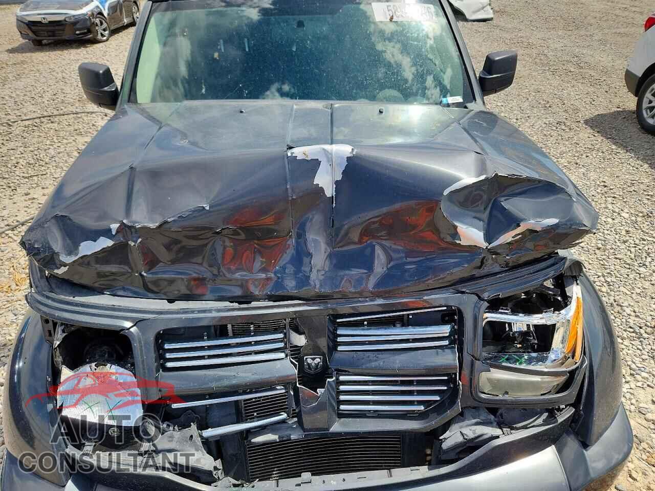 DODGE NITRO 2011 - 1D4PU5GKXBW544337