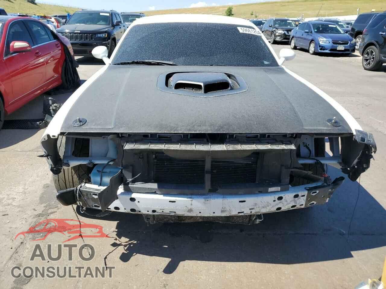 DODGE CHALLENGER 2019 - 2C3CDZFJ3KH740893