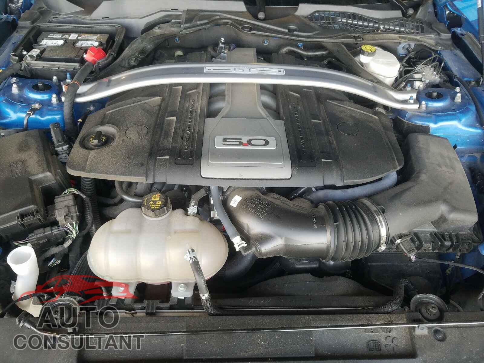 FORD MUSTANG 2019 - 1FA6P8CF3K5114977
