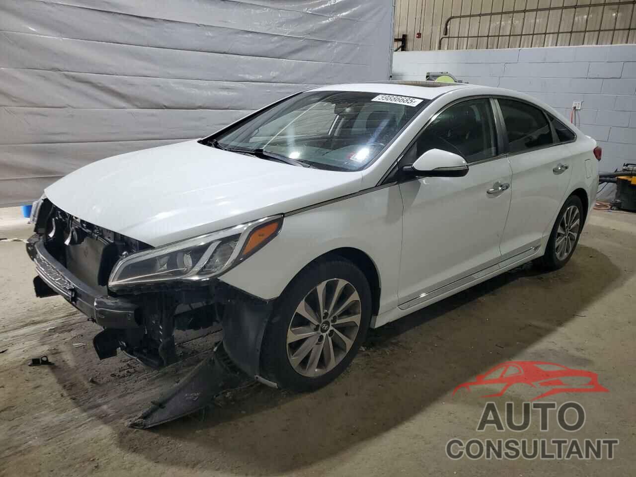 HYUNDAI SONATA 2016 - 5NPE34AF9GH374692