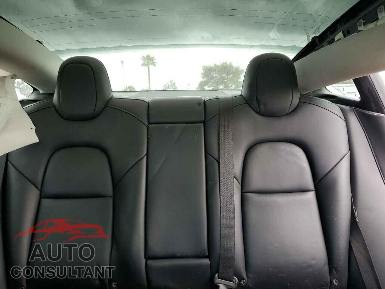 TESLA MODEL 3 2021 - 5YJ3E1EA4MF875501