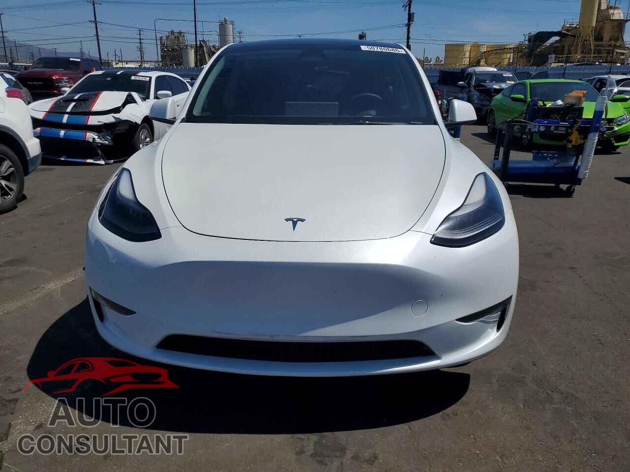 TESLA MODEL Y 2023 - 7SAYGDEE8PF804507