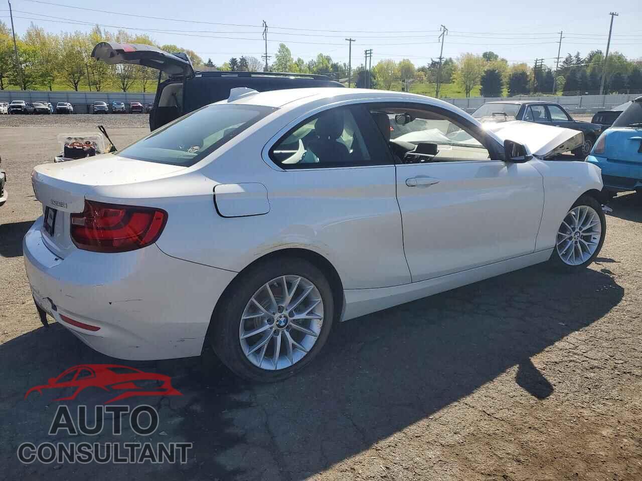 BMW 2 SERIES 2014 - WBA1F5C52EV255411