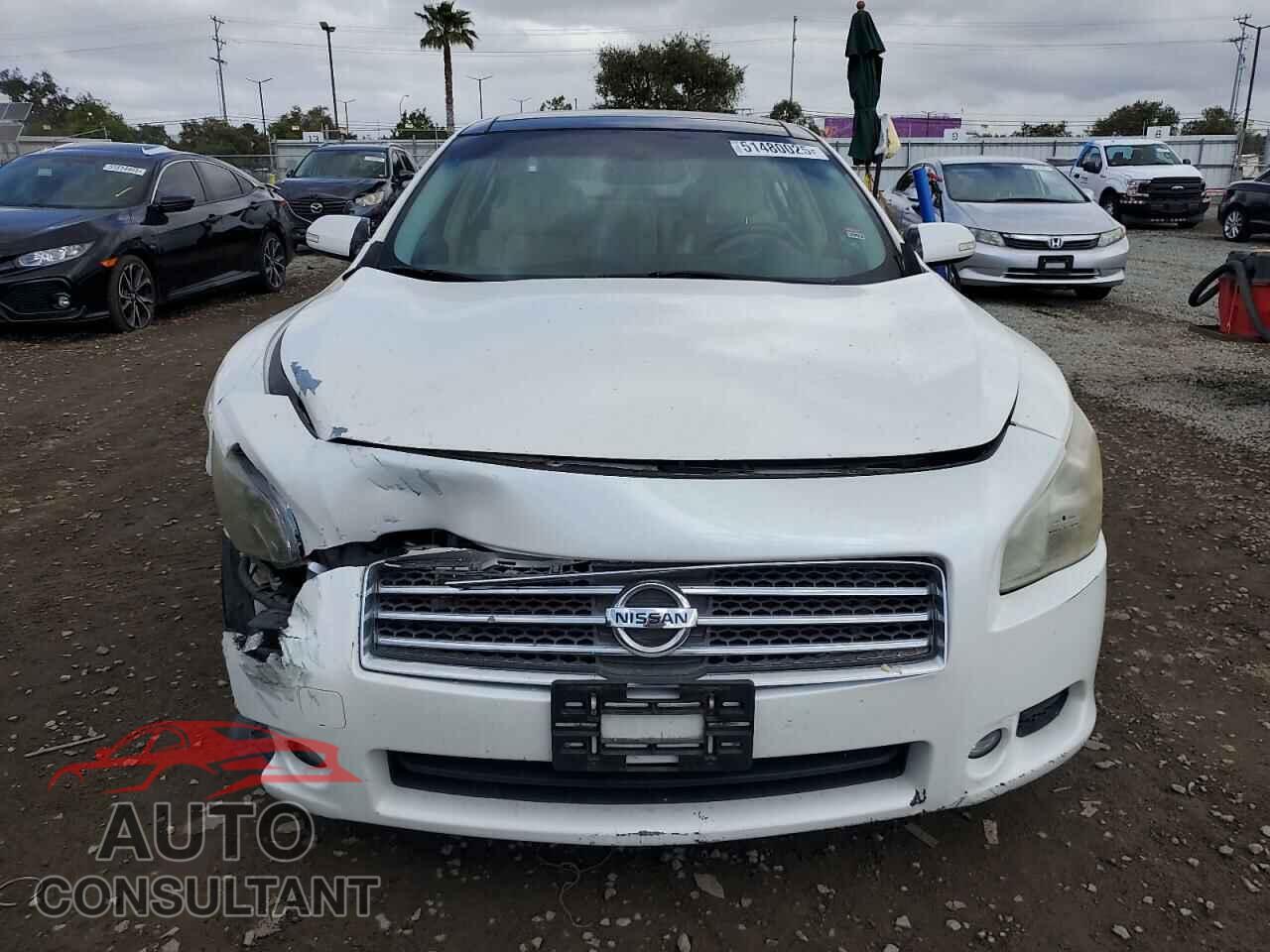NISSAN MAXIMA 2011 - 1N4AA5AP7BC808055