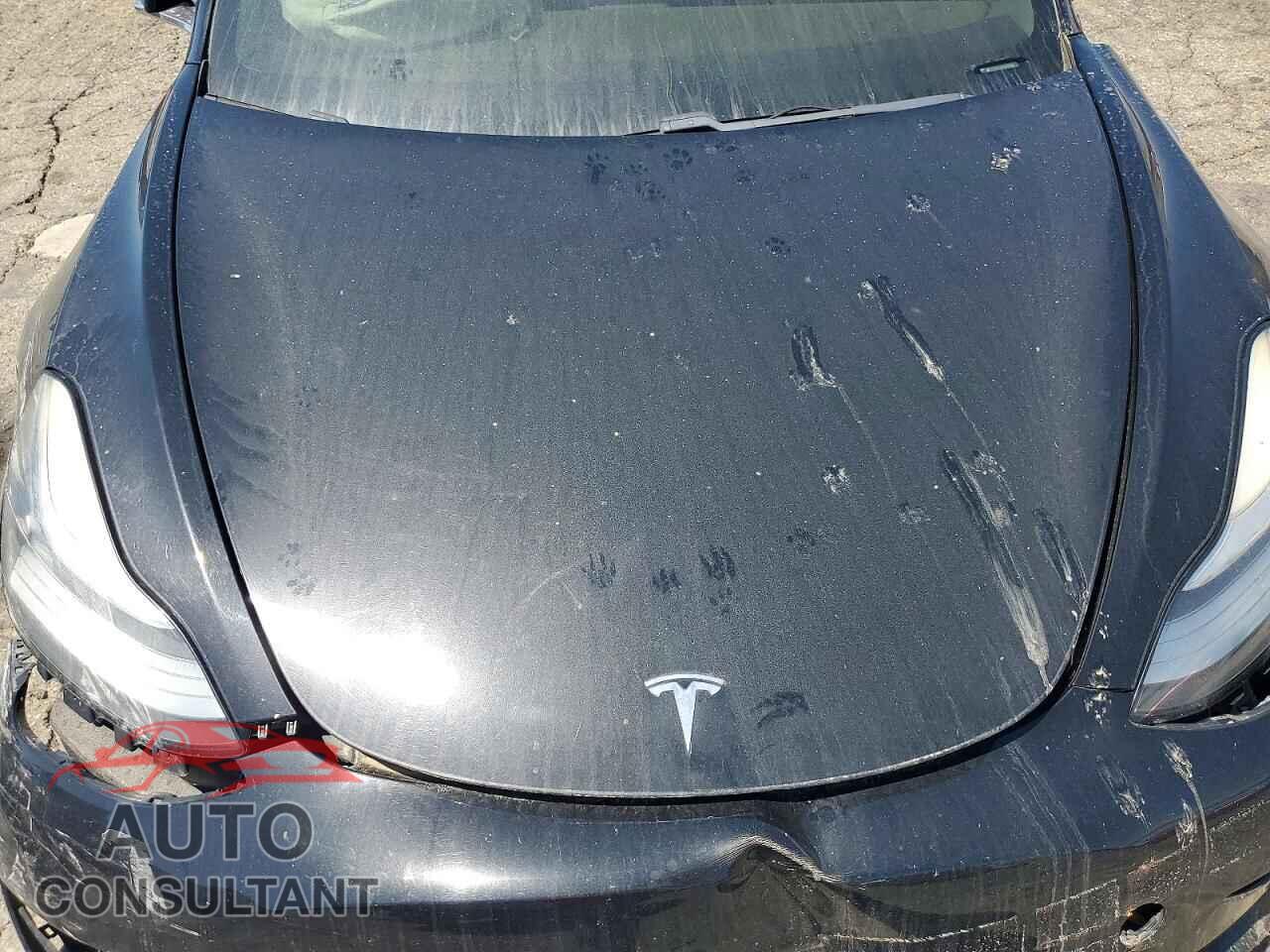TESLA MODEL 3 2019 - 5YJ3E1EA5KF302183