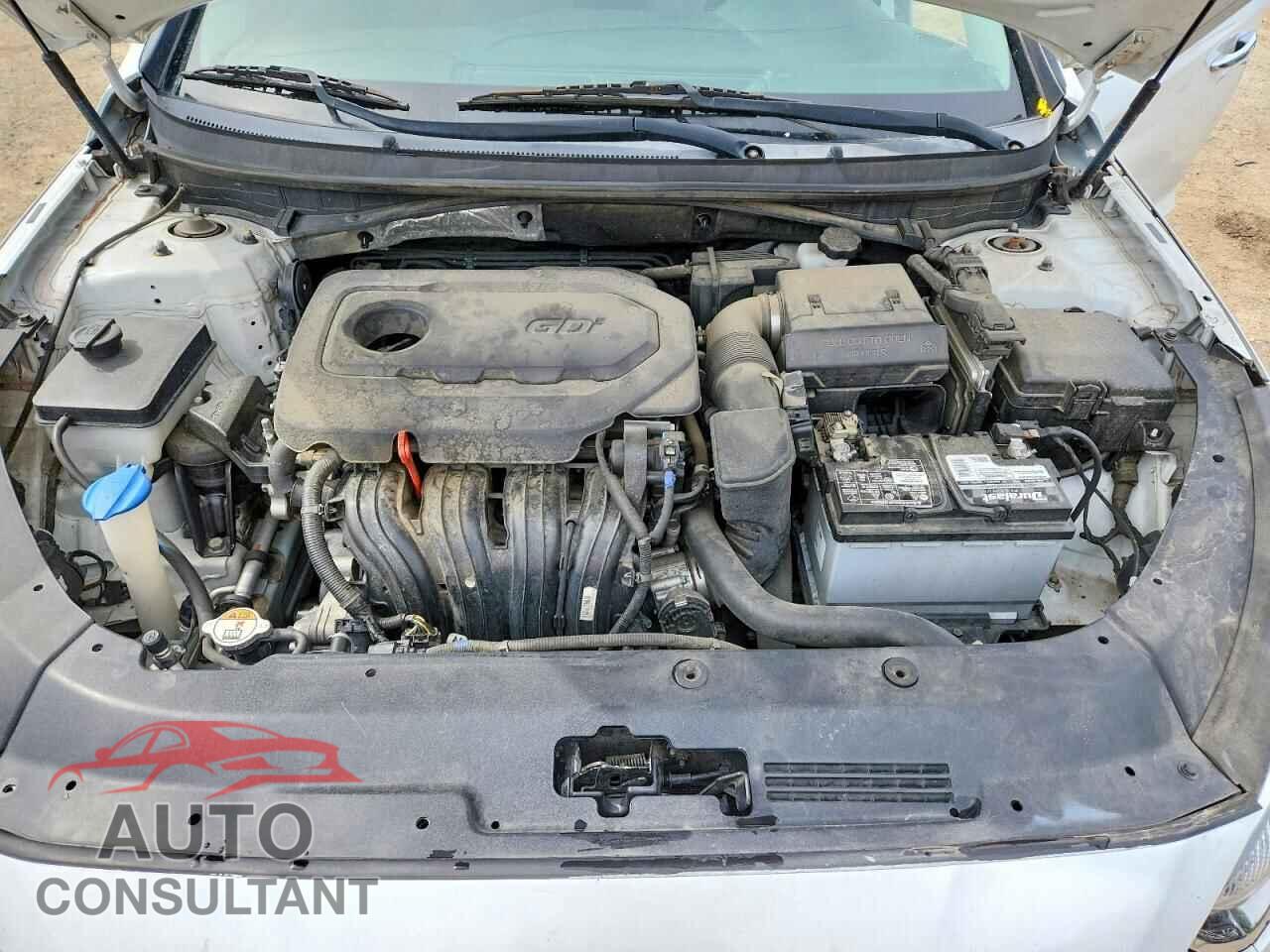 HYUNDAI SONATA 2019 - 5NPE34AF3KH768214