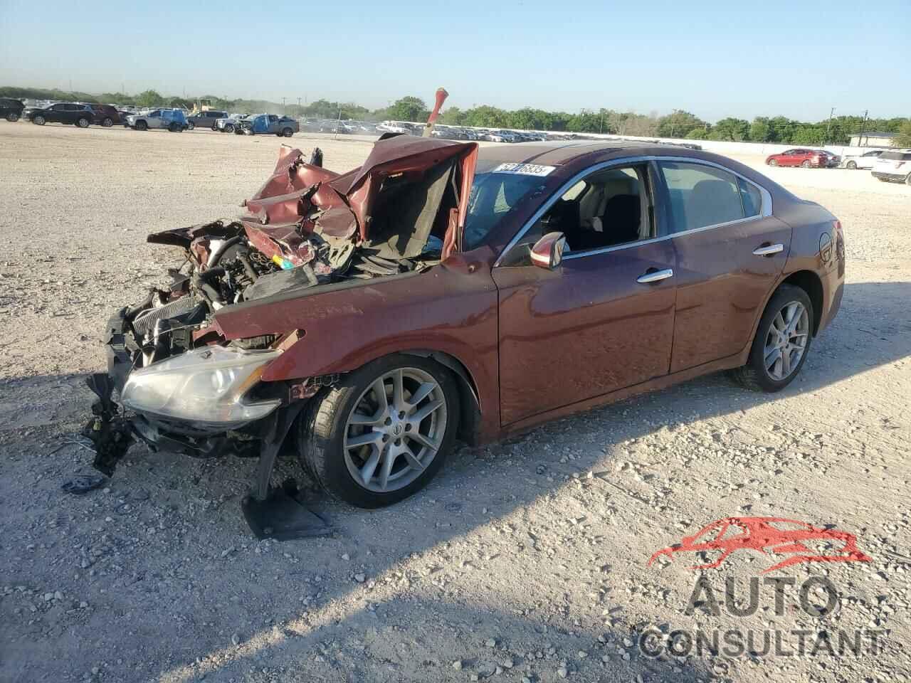 NISSAN MAXIMA 2010 - 1N4AA5AP0AC811717