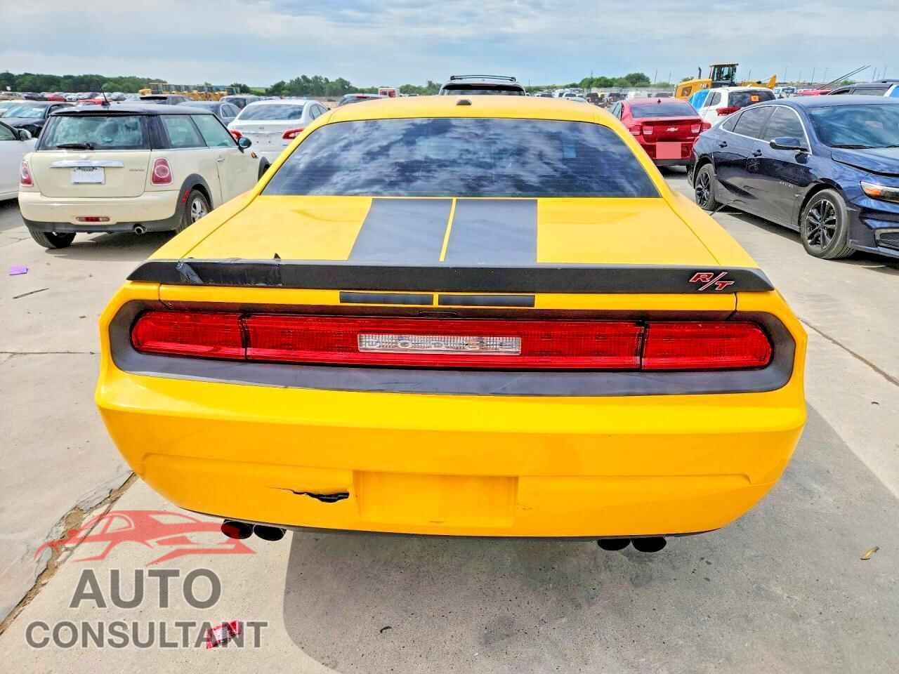 DODGE CHALLENGER 2012 - 2C3CDYBT9CH315861