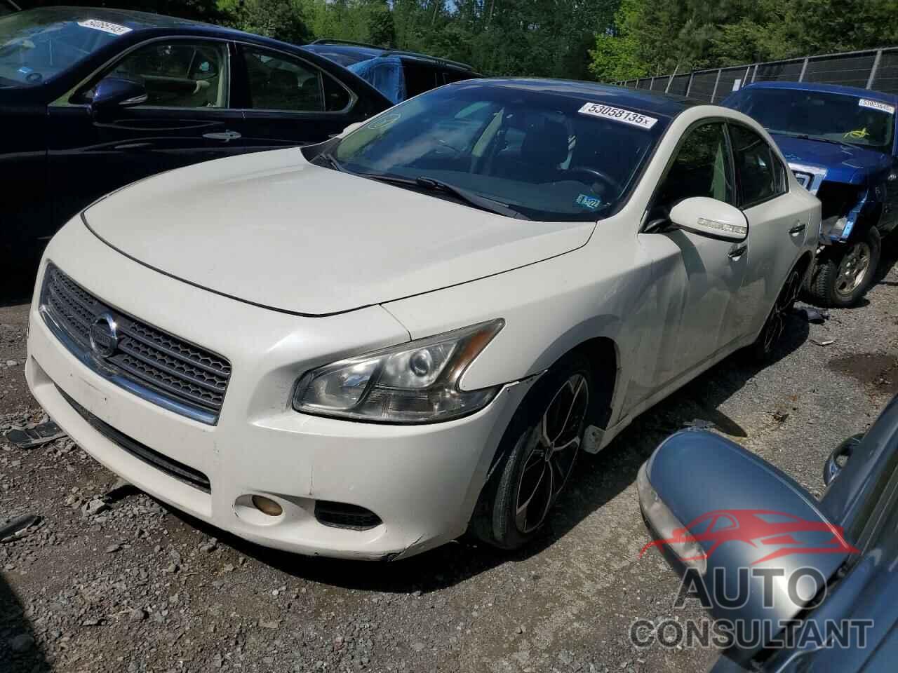 NISSAN MAXIMA 2010 - 1N4AA5AP0AC832194