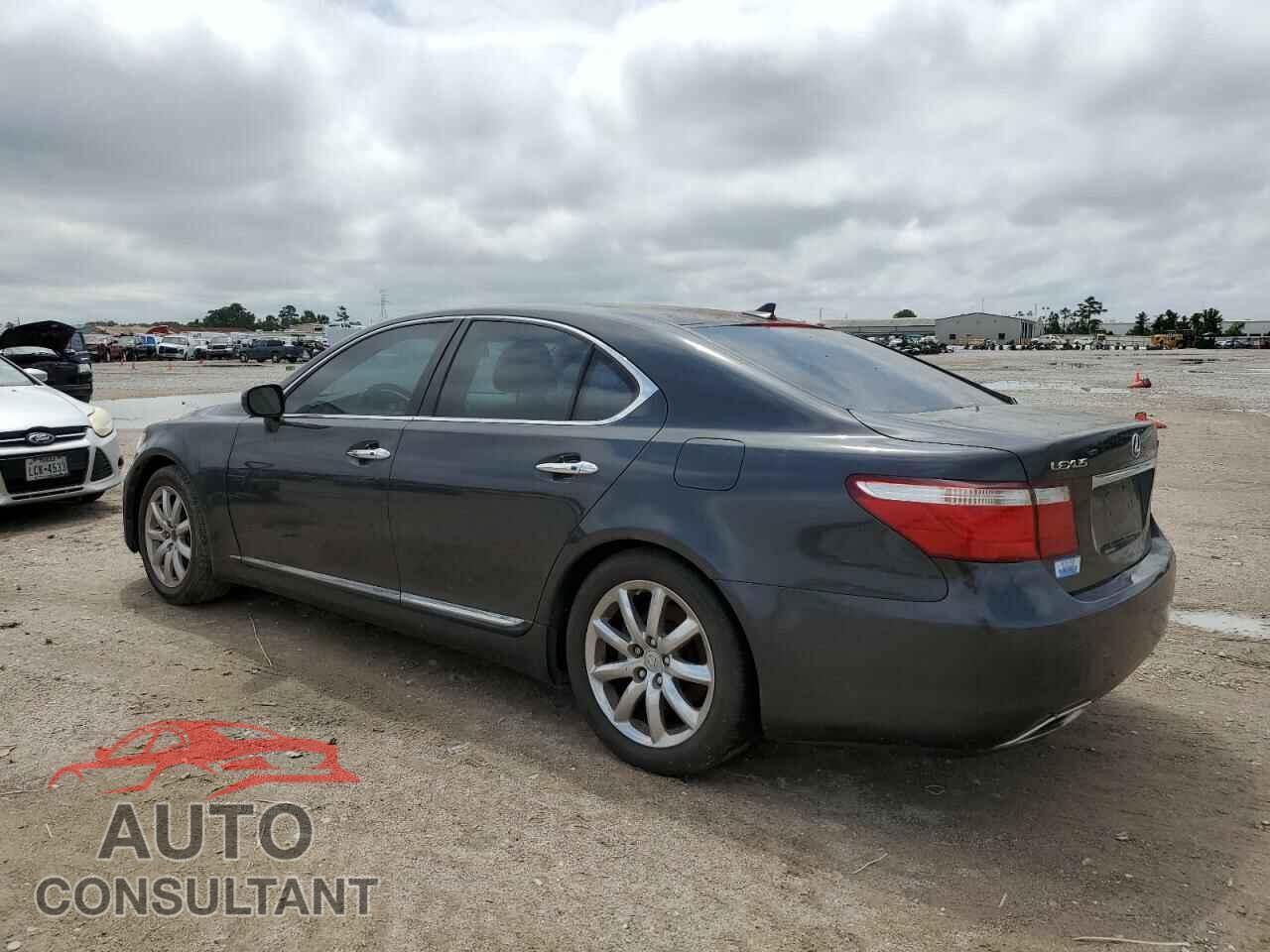LEXUS LS460 2009 - JTHBL46F695084665