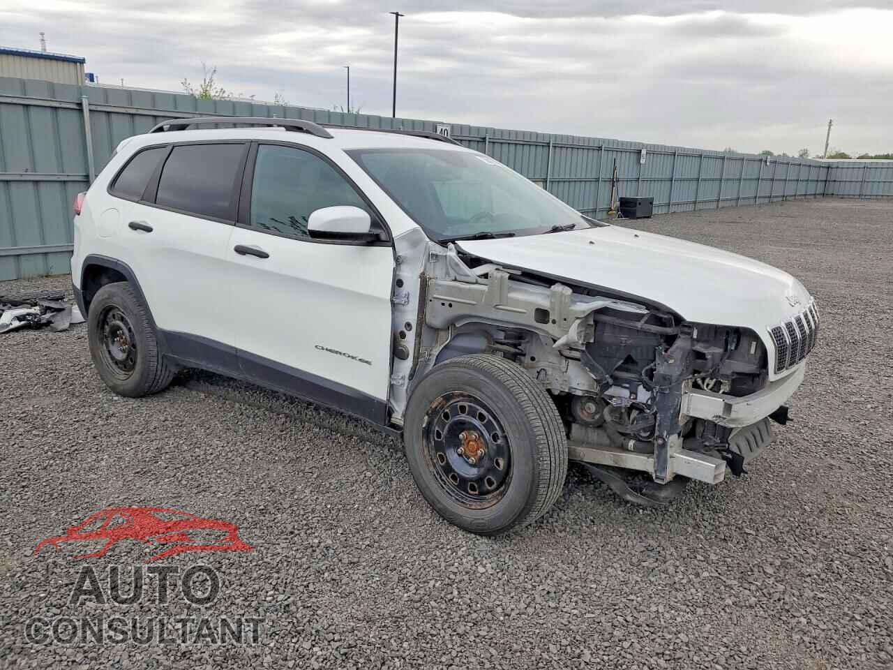 JEEP CHEROKEE 2019 - 1C4PJMAX0KD142648