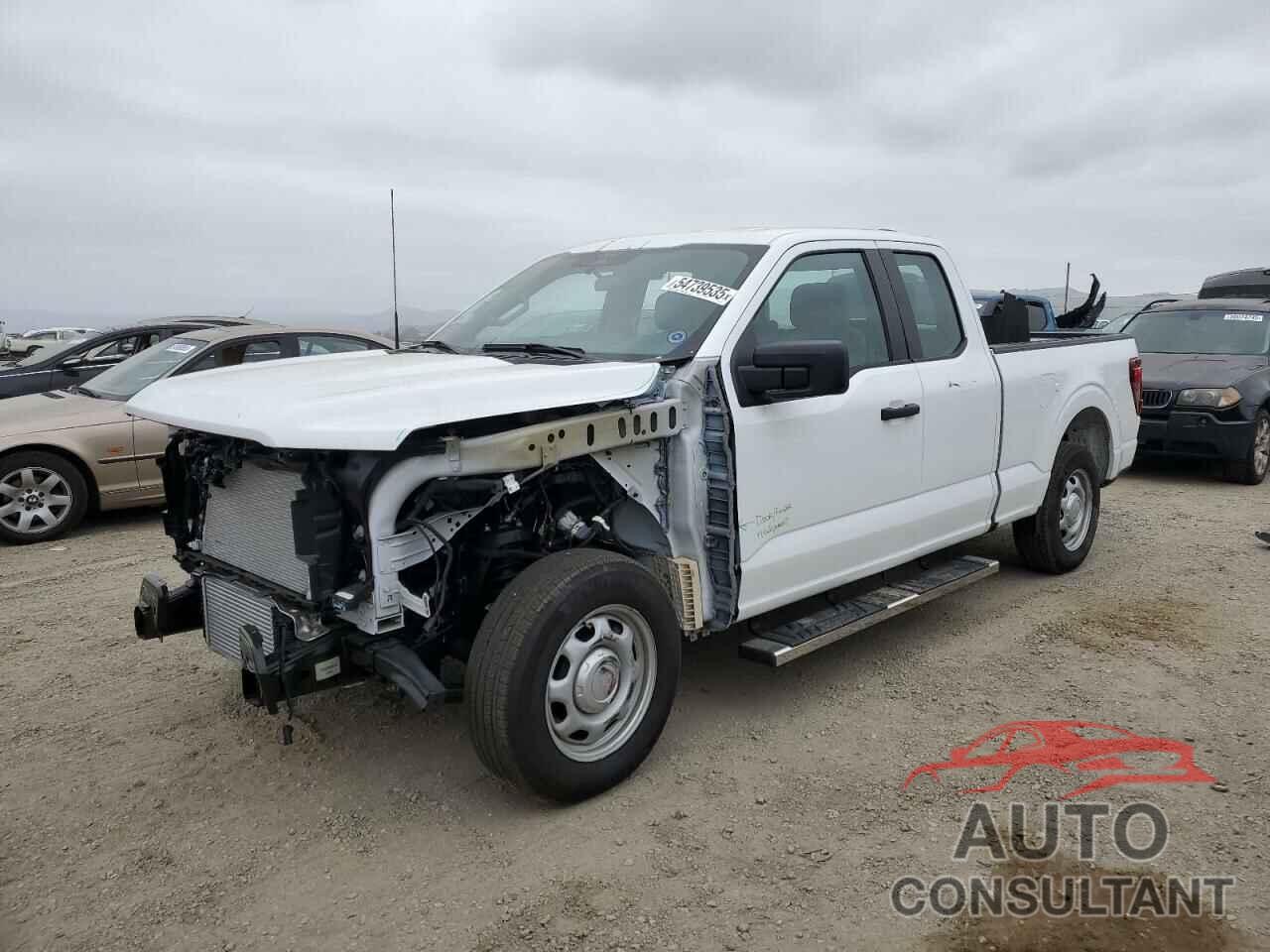 FORD F150 2024 - 1FTEX1KP9RKF42801