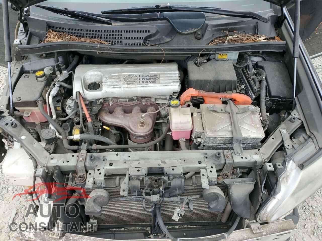 LEXUS HS 2010 - JTHBB1BA0A2025306