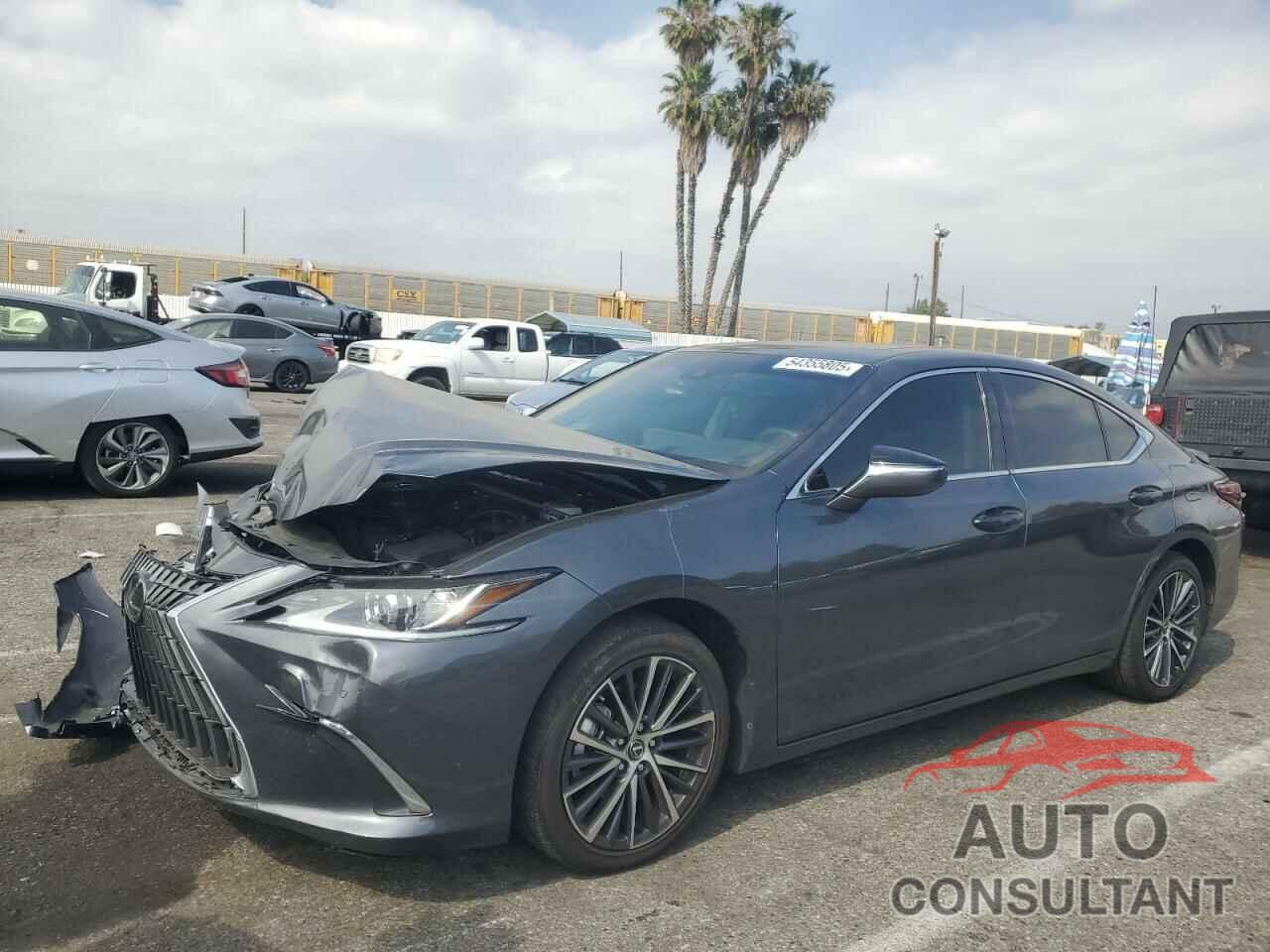 LEXUS ES300 2024 - 58ADA1C10RU049279