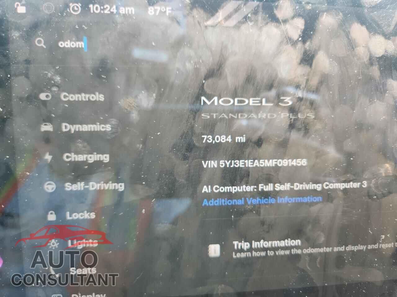 TESLA MODEL 3 2021 - 5YJ3E1EA5MF091456